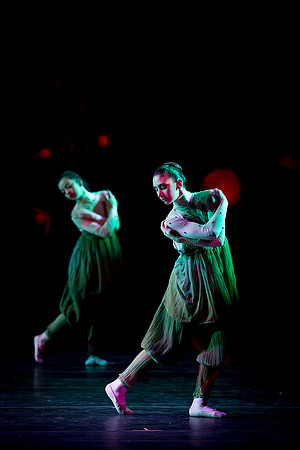 DS1D1745-Edit