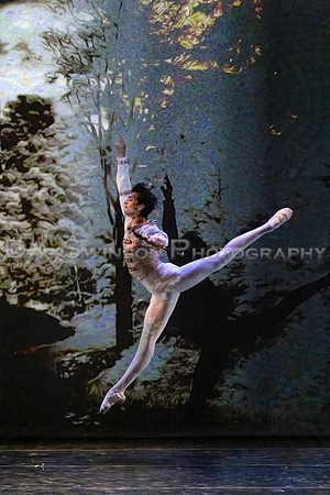 AA Ballet-339