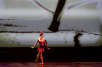 AA Ballet-13