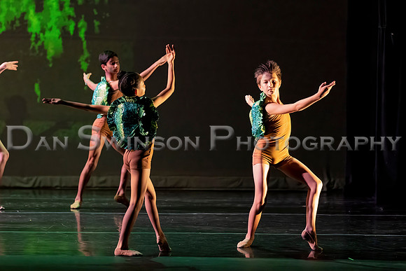 AA Ballet-38
