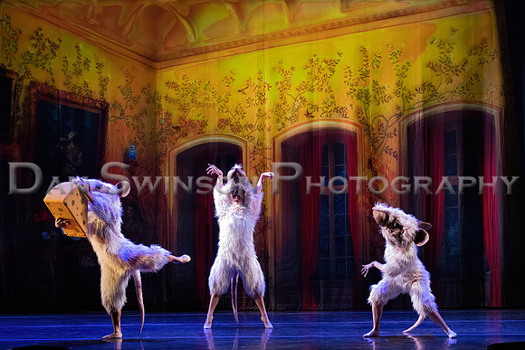 _F6A4027-1A-Motion