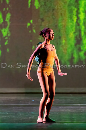 AA Ballet-49